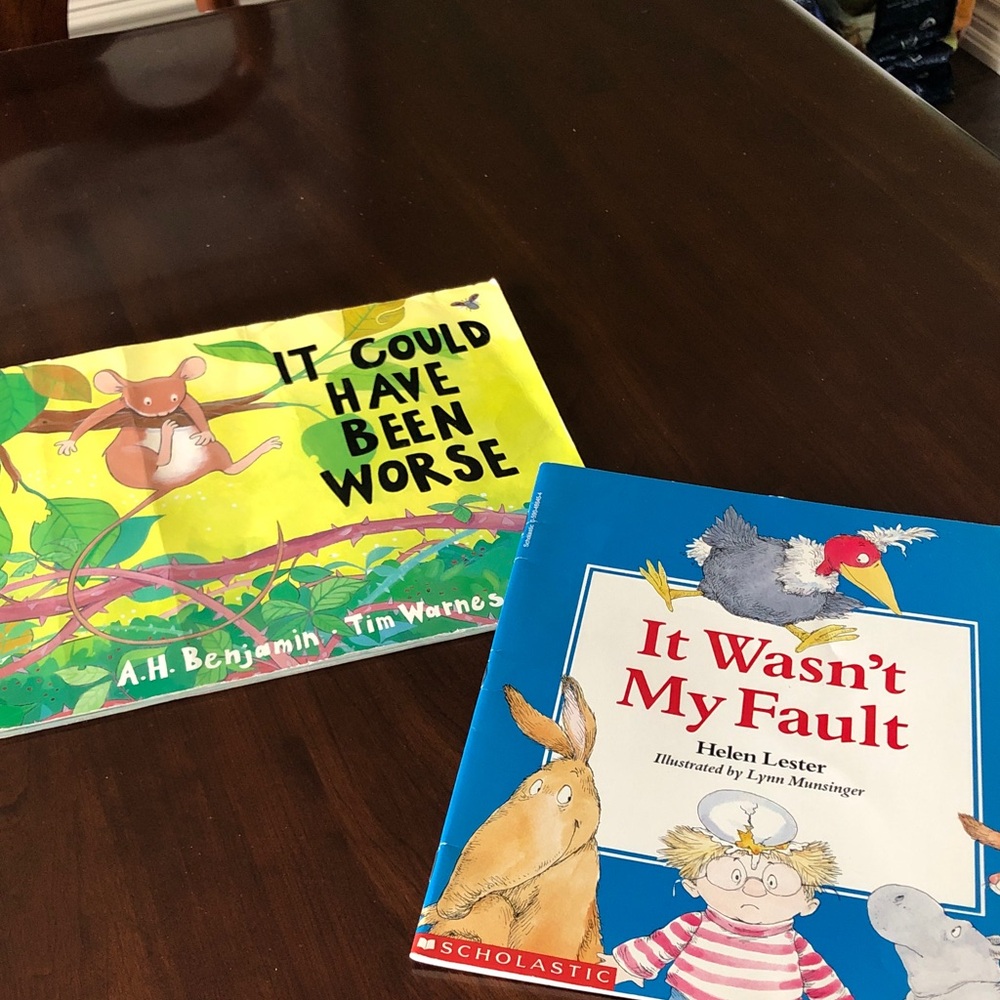 Children's Books Set - It Could Have Been Worse & It Wasn't My Fault